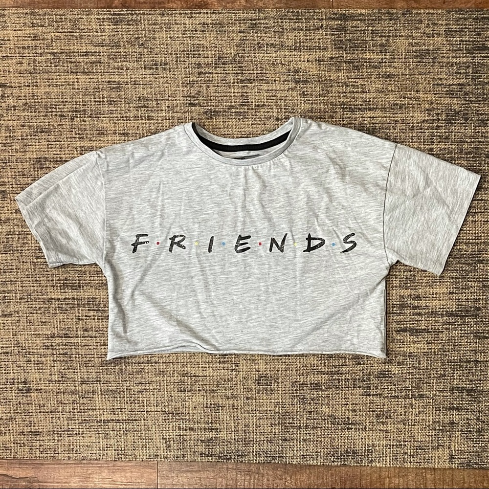 Grey Friends Crop Top Tee